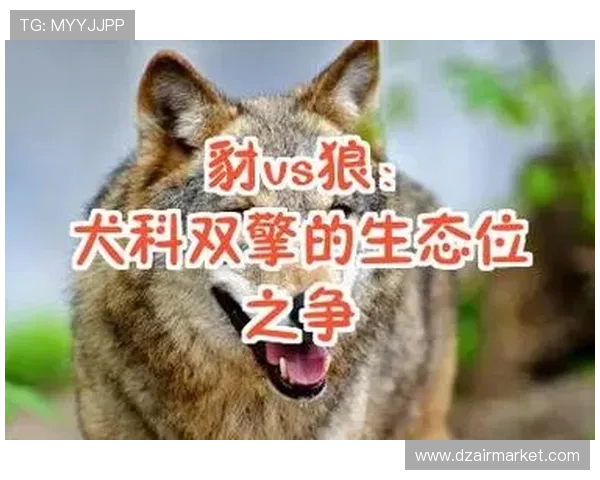 ag亚娱集团的合作伙伴关系与联盟策略对行业生态的积极推动作用